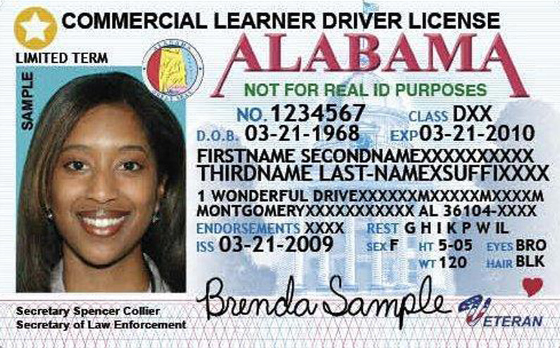 alabama driver39s license classifications