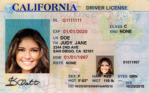 CA DMV driver's license