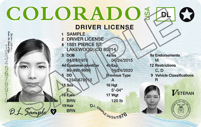 California driver license check