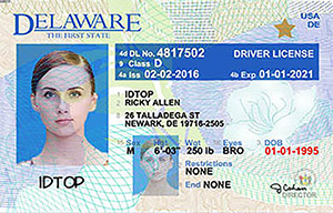 DE DMV driver's license