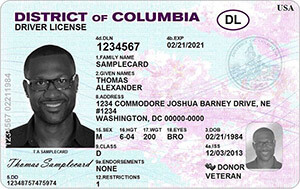 renew license ny 21