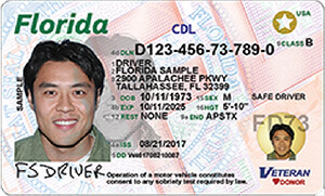 fl driver license check shipping