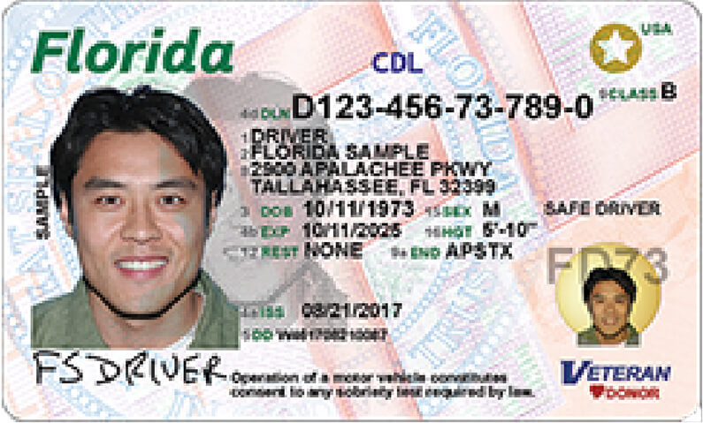 florida dmv license status