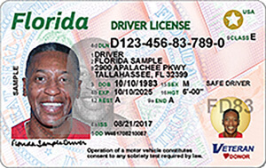 FL DMV driver's license