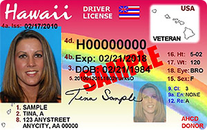 HI commercial driver's license