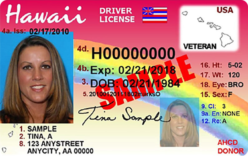 dmv driving license for international students apply