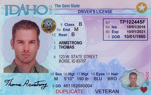 driver's license in Idaho