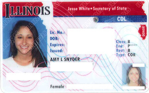 illinois drivers license check