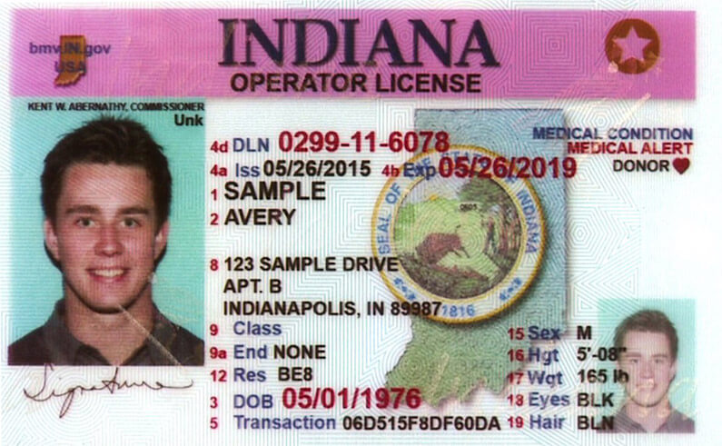 driver's license in Indiana