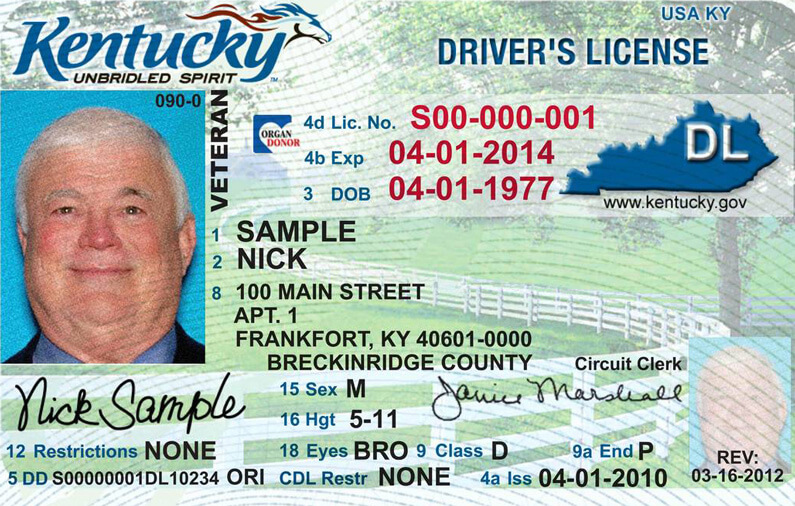 kentucky drivers license check