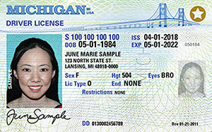MI DOS driver's license