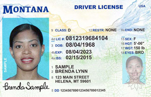 MT MVD driver's license