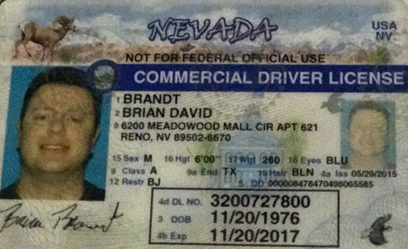 dmv nevada driving test study book spanish