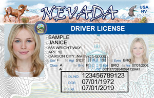 nevada single trip permit