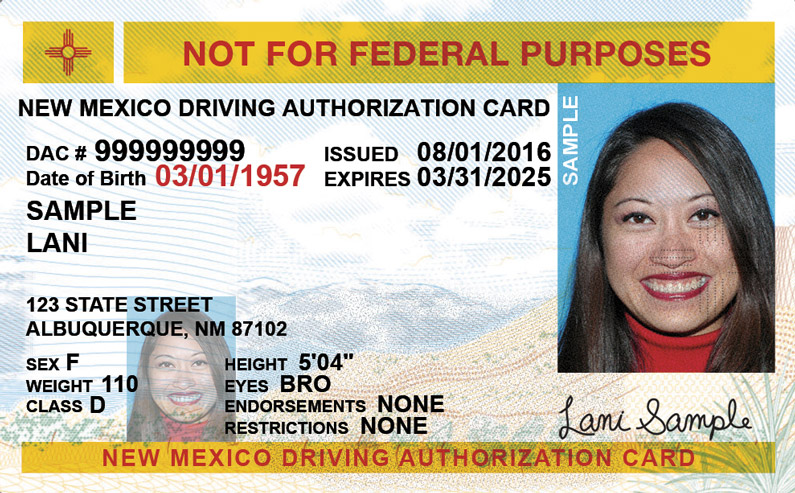 free driver license test in florida