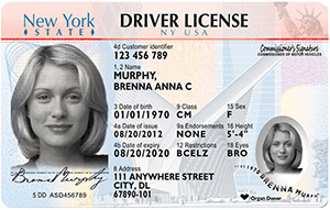 New York DMV  Sample New York DMV Photo Documents