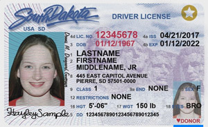 SD commercial driver's license
