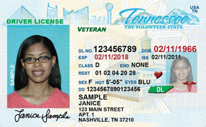 TN commercial driver's license