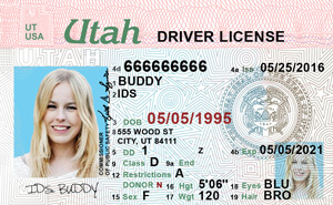 UT DLD driver's license