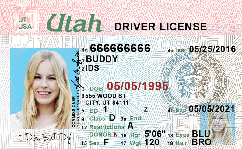 License Number On Permit