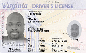 VA DMV driver