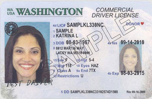 washington state dol driver's license