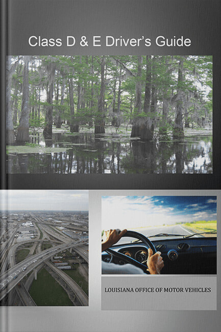 Louisiana OMV Handbook (2024)