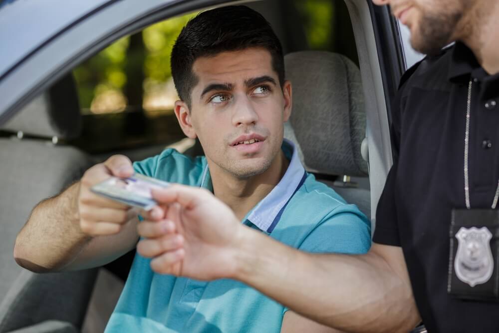 Why Is Your Driver's License the Most Important Thing in Your Wallet? 10 Compelling Reasons