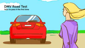 whats on the florida driving test