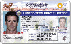 free editable nevada drivers license template