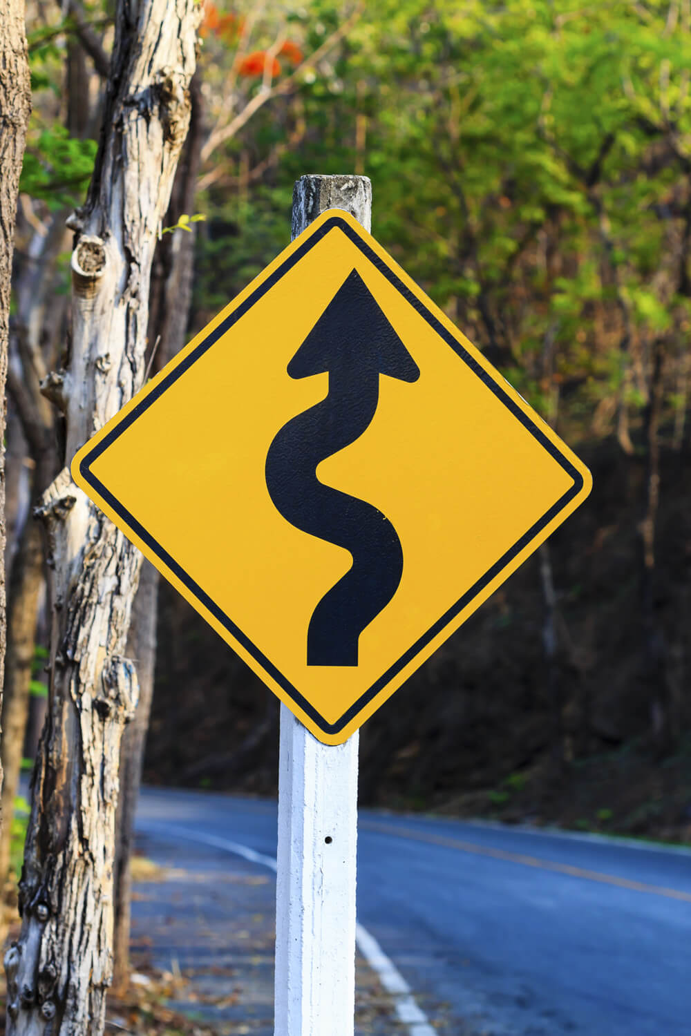 Winding Road Sign: What Does it Mean?