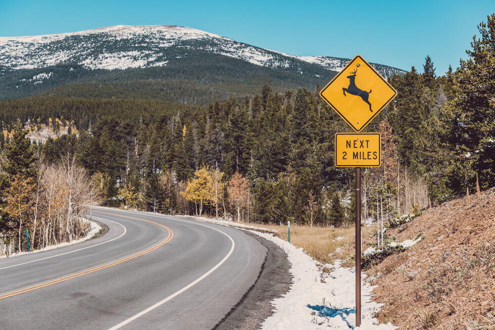 Deer Crossing Sign What Does It Mean 