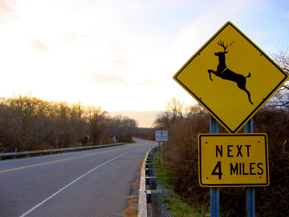 Deer Crossing Sign What Does It Mean 